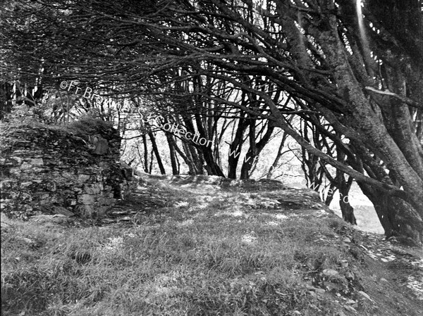 DUNBOY CASTLE SHOWING WALL & 